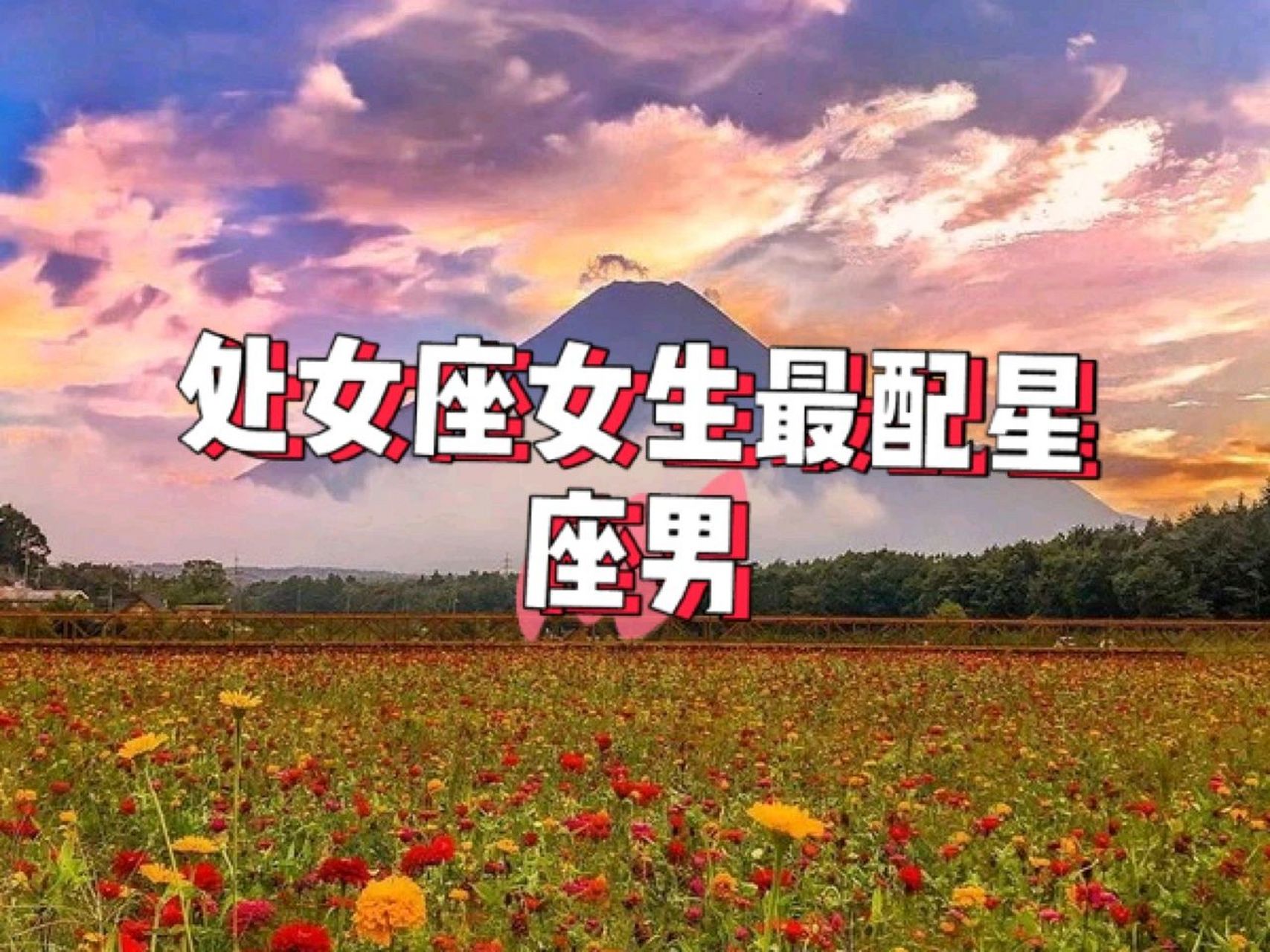 12生肖超精准匹配！ 你和他/她是绝配吗？