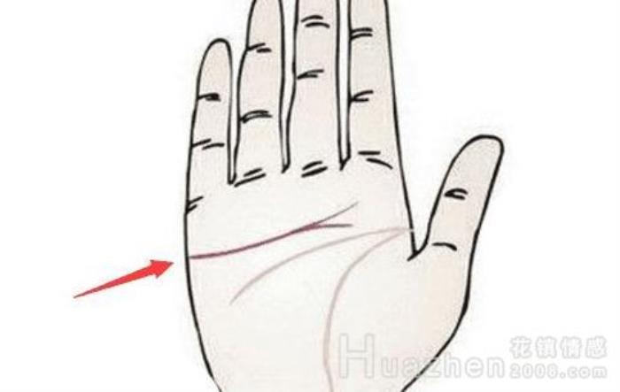 爱情线末端有叉子代表什么？