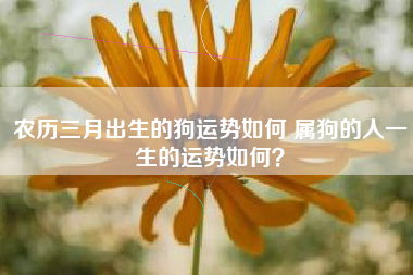 属狗人2023年每月运势及运势。2023年属狗人全年运势如何？