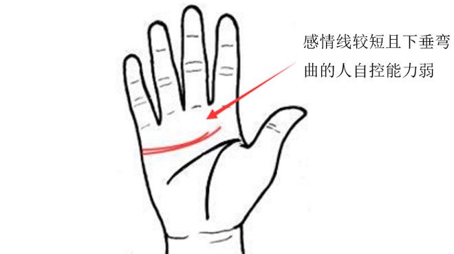 手相中爱情线的分支