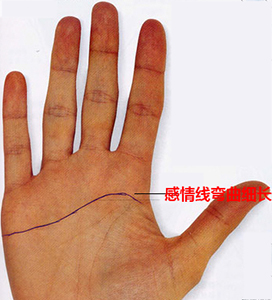 手掌感情线分叉一定会离婚吗？ 手相中感情线分叉有什么寓意？