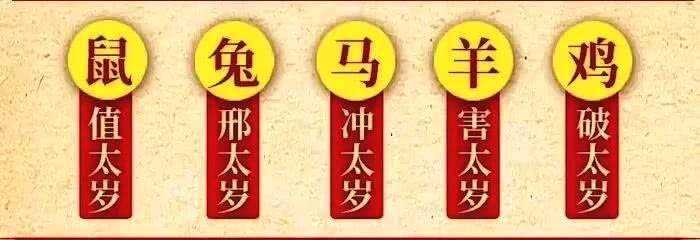 提前了解属兔人2023年的运势。 了解属兔人2023年的运势以及属兔人的运势详细解说。