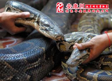 b型血女人的性格特点 B型血女生性格解析