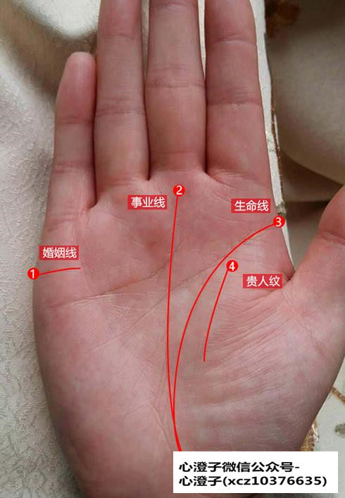 成功线和命运线分别代表什么？
