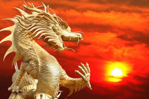龙和羊的生肖相配吗？ 他们的出生日期和星座相符吗？