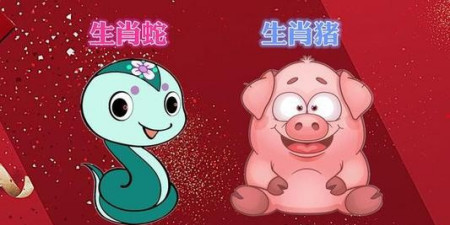 女、猪、男、蛇适合结婚吗？