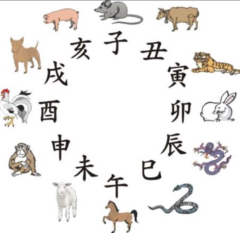 了解十二生肖和时间配对表
