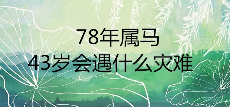 十二生肖婚姻福祸表