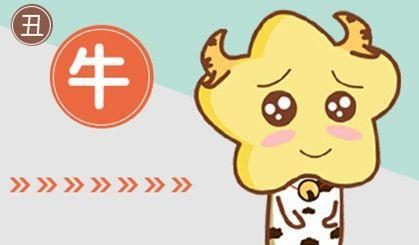【爆料】11月15日十二生肖运势揭晓！