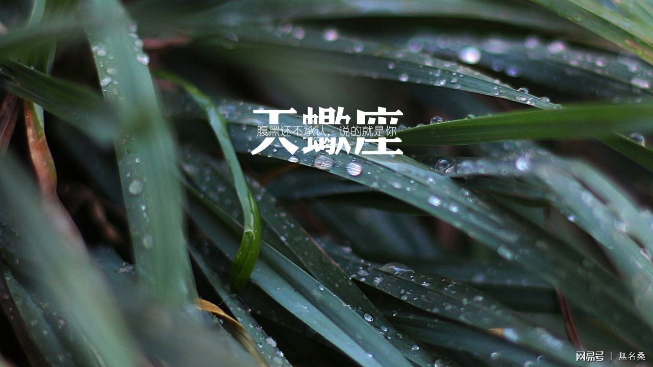 天蝎座首个明日运势网站 天蝎座首个今日运势网站