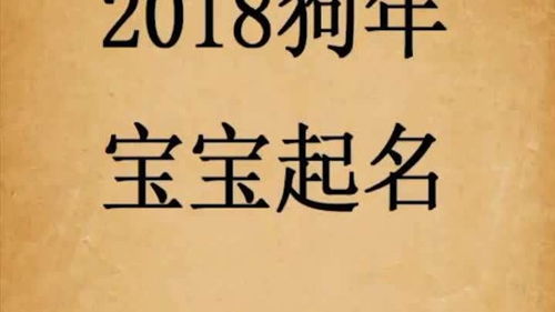 2023年兔年宝宝取名的最佳词语