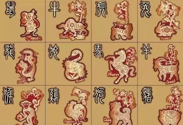 麦玲玲2023年12生肖 兔年12生肖分析