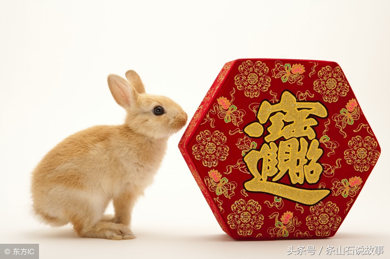 2023年最倒霉的三大生肖，你是其中之一吗？