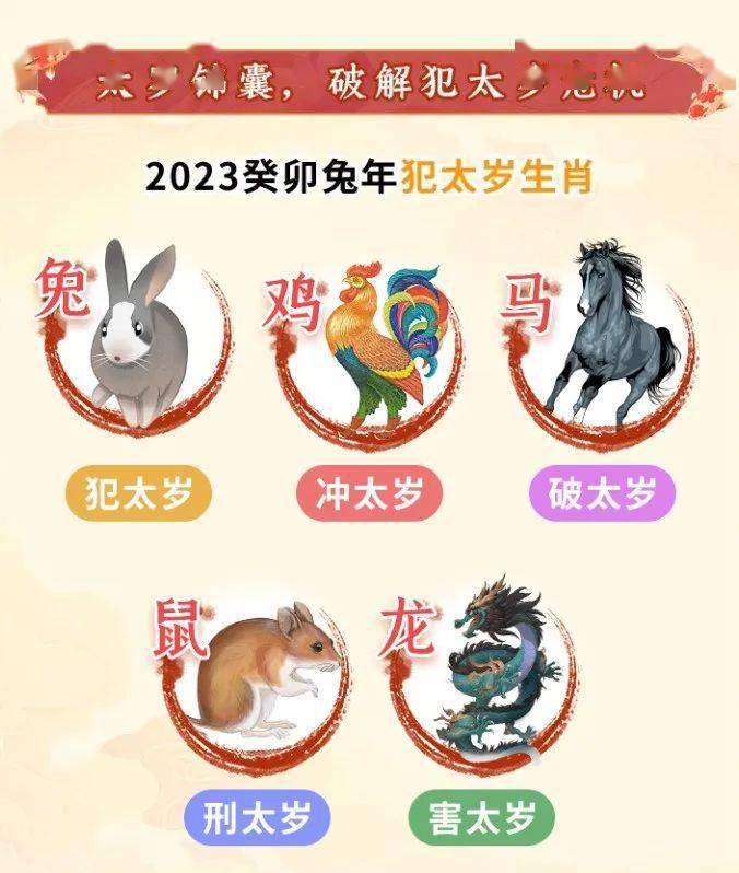 独家揭秘！ 麦玲玲2023年12生肖运势