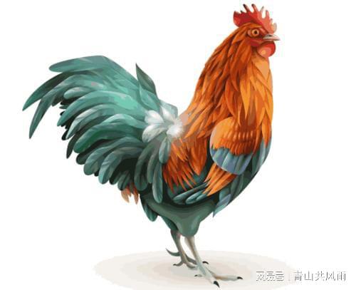 属鸡人2018年运势
