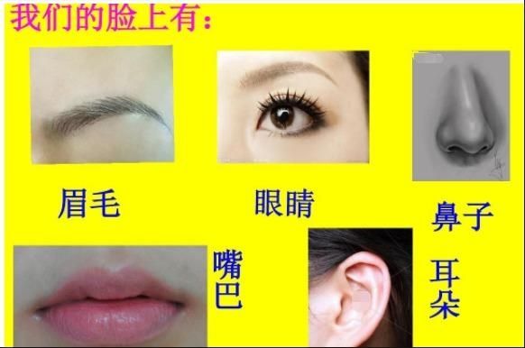 五官小、五官小的人性格与运势分析