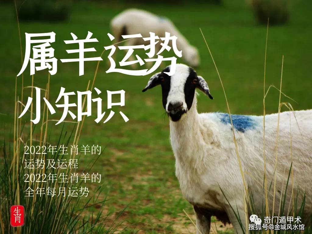 2023年下半年，学业运势最好的星座们，成绩会有明显的提升。