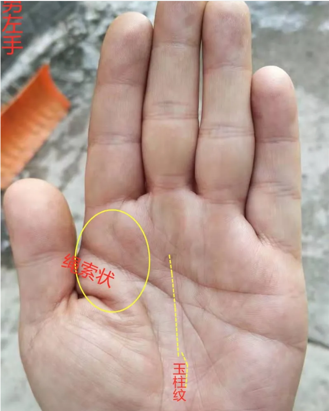 b型血女人的性格特点 B型血女生性格解析
