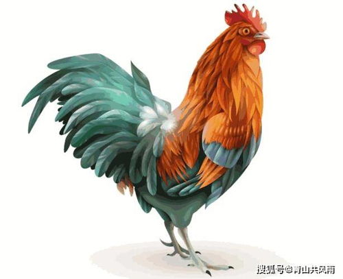 生肖鸡：生肖每月运势分析。 十二生肖2023年7月运势走势分析。