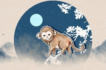 2018年生肖运势：猴生肖每月运势