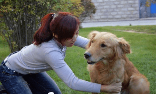 属狗的女生更适合什么生肖呢？