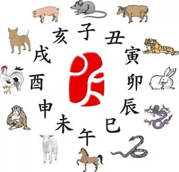 辛巳年出生的人最配谁？