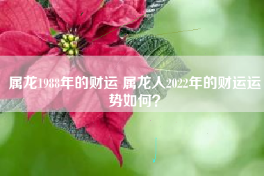 属龙人2023年事业、财运、感情婚姻、健康运势、每月运势详解（完整版收藏）