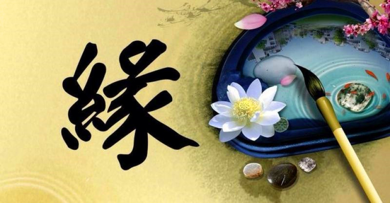 测试评分软件名称