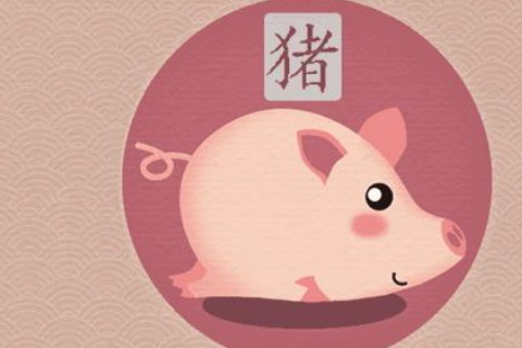 生肖属猪的男孩和生肖属羊的女孩之间的婚姻匹配