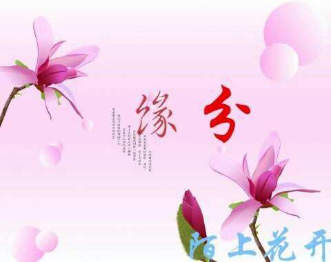 关于相识就是缘分的句子