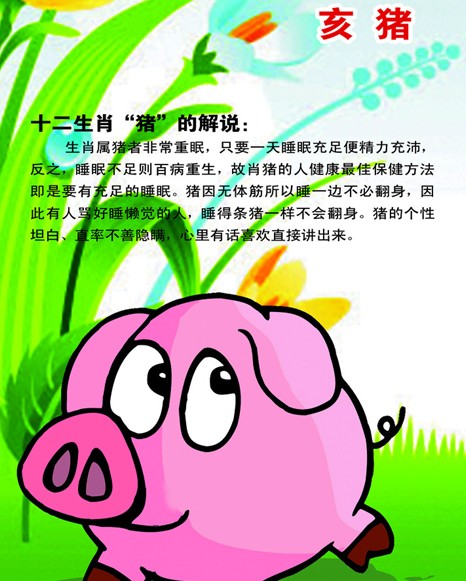 猪年给婴儿起名的禁忌。 猪年宝宝必读的名字。