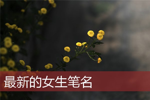 鸡年出生的女儿取名指南：如何选取富有诗意和吉庆的名字？