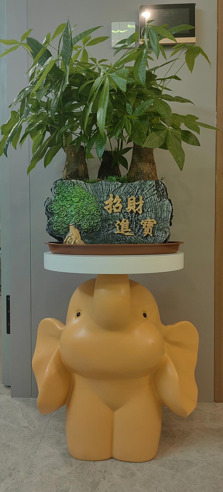 2024 年属猪人运势大揭秘：事业飞黄腾达，财富感情双丰收，健康需注意