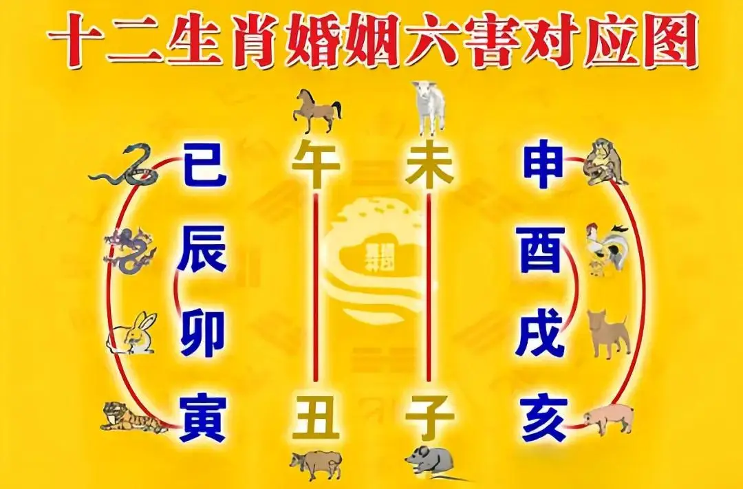 属相不合竟能影响婚姻？这一古老说法到底有没有科学依据