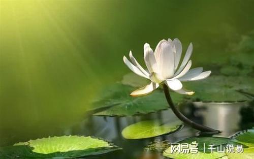 周易八字择婚吉日，传统瑰宝还是迷信？你真的选对了吗？