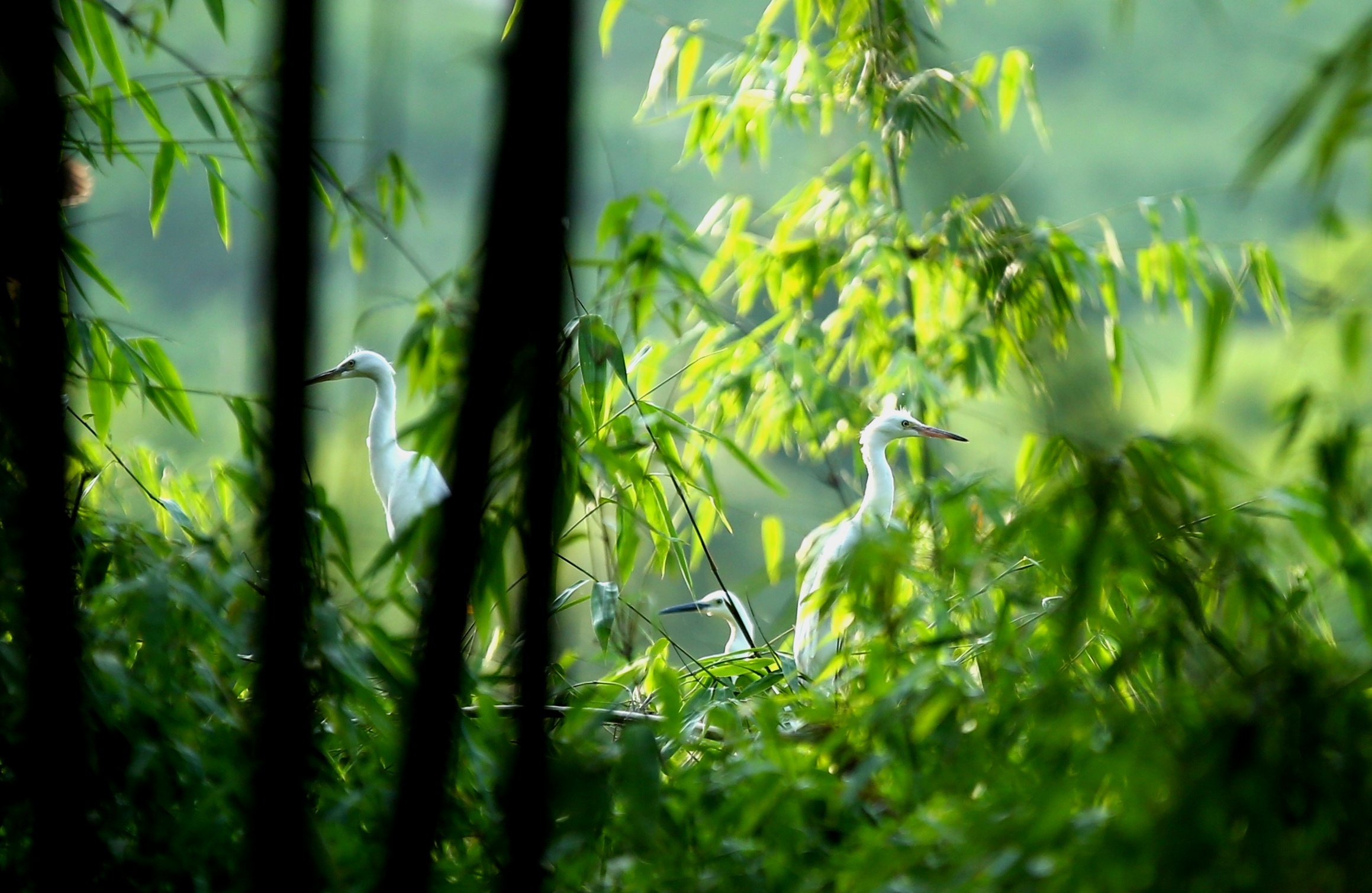 免费测算今生前世姻缘，揭开你与心仪之人的神秘面纱