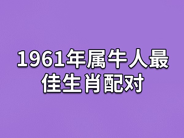 属相婚配指南，看看你的最佳和最差配对