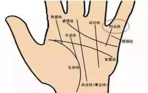 女生手相怎么看，手相如何看家庭观