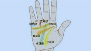 男人左手手纹算命图解，手相男人图解 左手