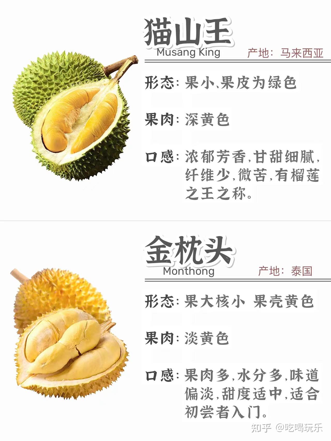 梦见榴莲_梦见榴莲是男孩还是女孩_梦到榴莲是胎梦吗