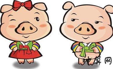 属猪人二婚何时到来_属猪的二婚好不好_1983属猪二婚会在哪一年