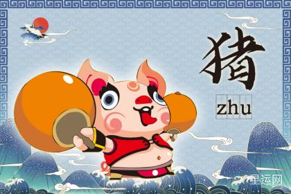 1971出生猪今年有一灾是什么