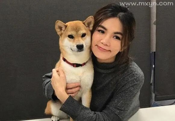 想怀孕的梦见蛇_梦见怀孕还梦见蛇_怀孕梦见蛇是什么意思有什么预兆