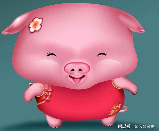 19年属猪是什么命_猪年属于什么命_属猪的是什么年号