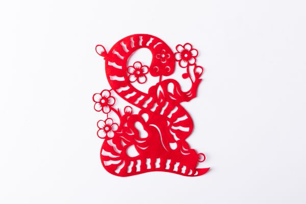 属猪和属蛇的合不合 蛇和猪能过一辈子的吗