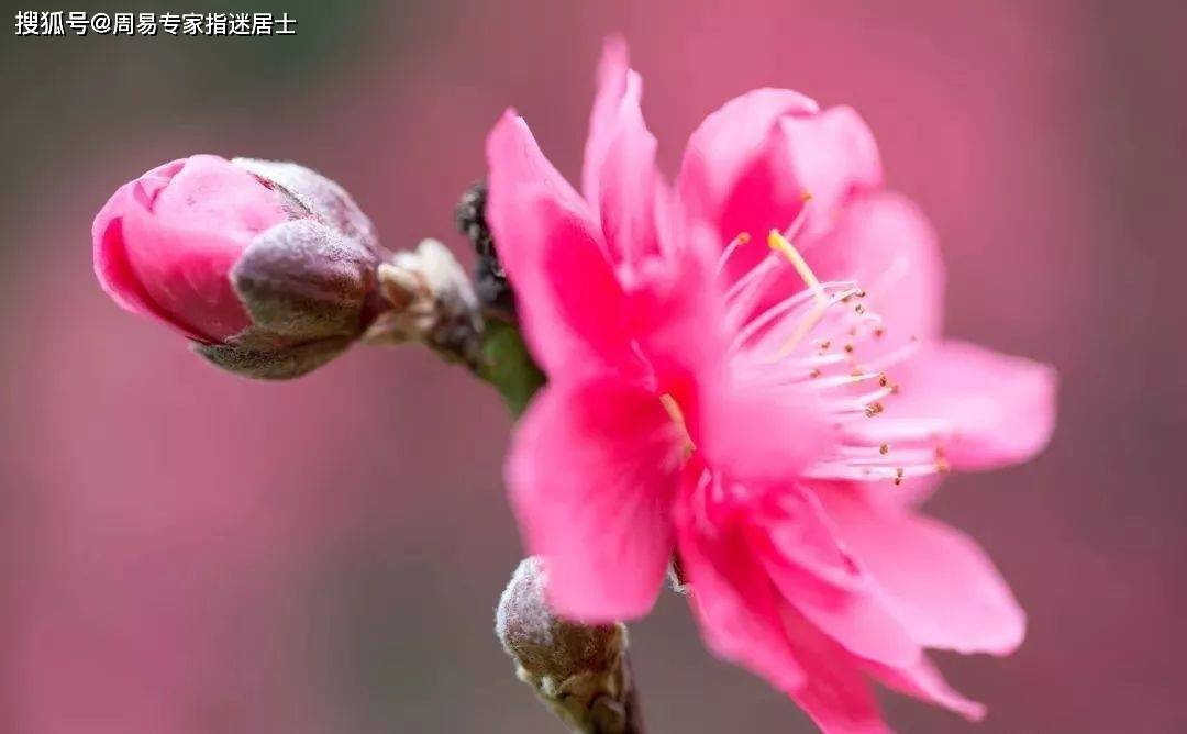 测生辰八字合婚_生辰八字合婚测试_八字测生辰合婚好不好