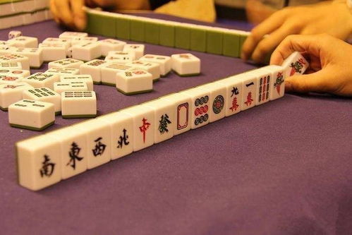 猪生肖打麻将坐什么方向_2016年属猪人打麻将吉位坐位风水_2021年猪人打麻将的吉位