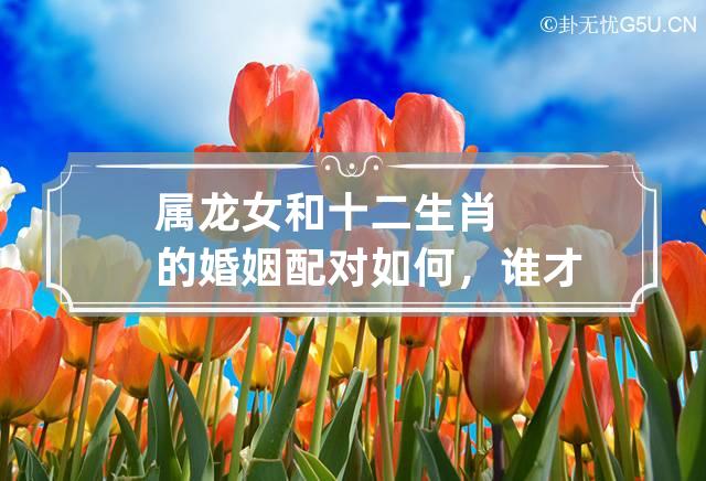 属龙相配的属相最好_属龙相配相克_属龙和属龙的相配吗