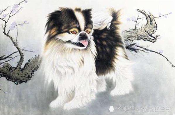 男狗今年婚姻如何_属狗男人婚姻状况_82年属狗男的婚姻状况