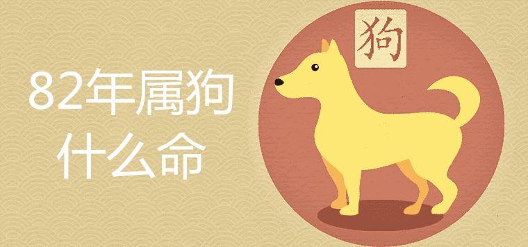82年属狗男的婚姻状况_属狗男人婚姻状况_男狗今年婚姻如何
